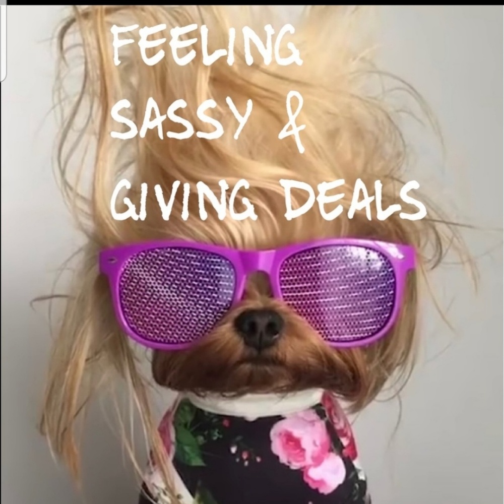 Closet Clear Out 💫 Elevated & Most-Loved Finds @LASassyChica